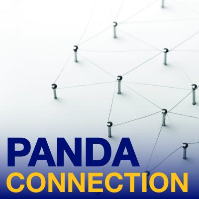 Panda Connection Copy